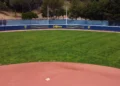 Cal Softball