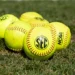 SEC Softball