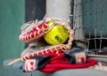 fall softball