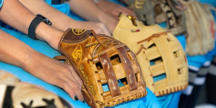 Professional Softball League